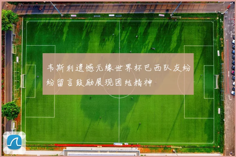 韦斯利遗憾无缘世界杯巴西队友纷纷留言鼓励展现团结精神